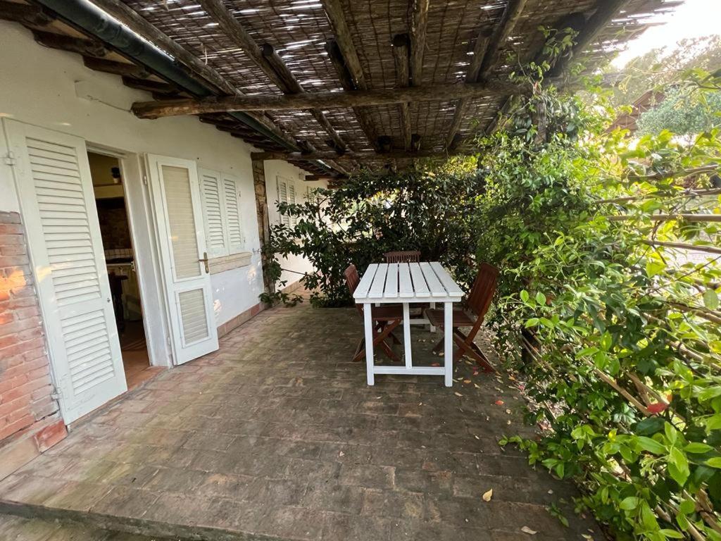 Agriturismo Baratti Exterior foto