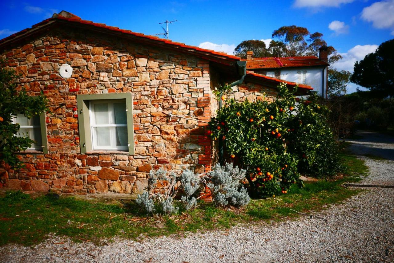Agriturismo Baratti Exterior foto