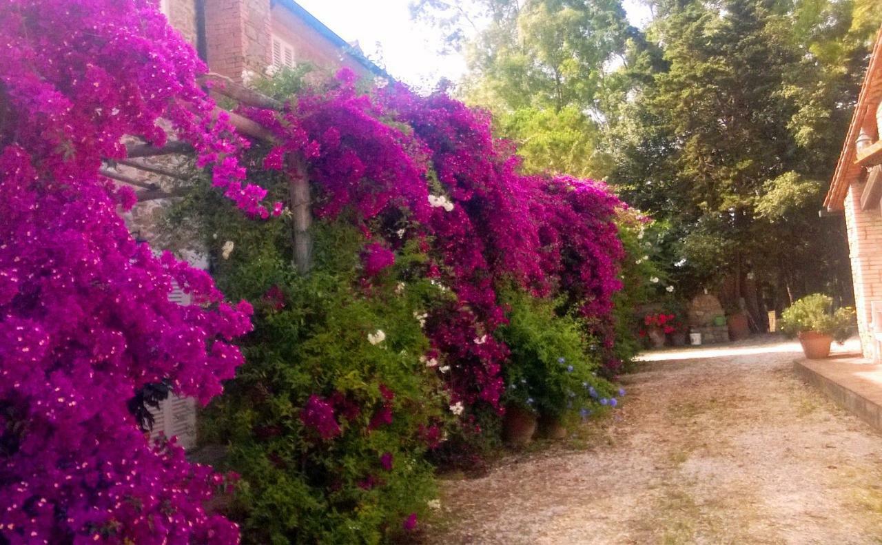 Agriturismo Baratti Exterior foto