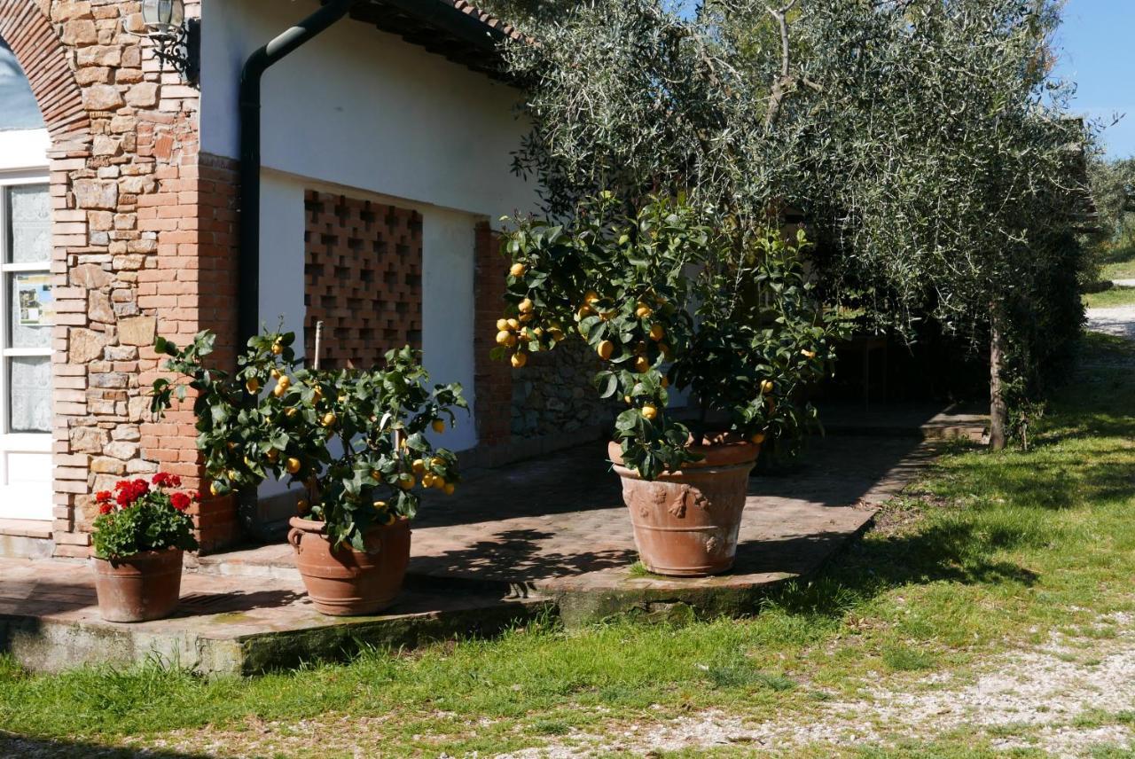 Agriturismo Baratti Exterior foto