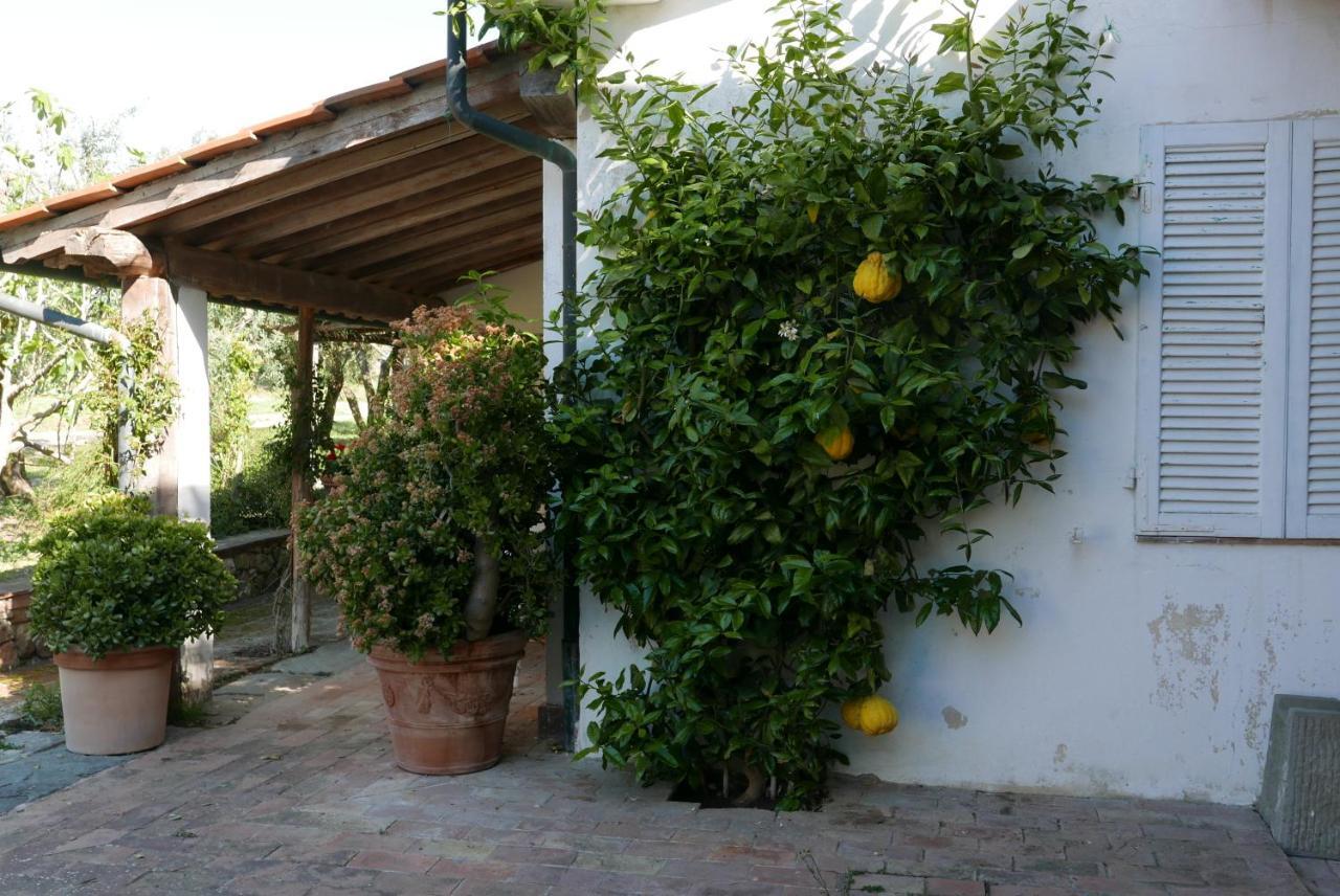 Agriturismo Baratti Exterior foto