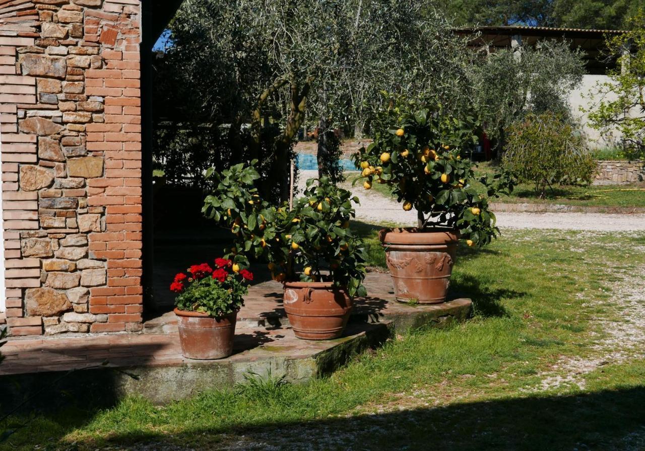 Agriturismo Baratti Exterior foto